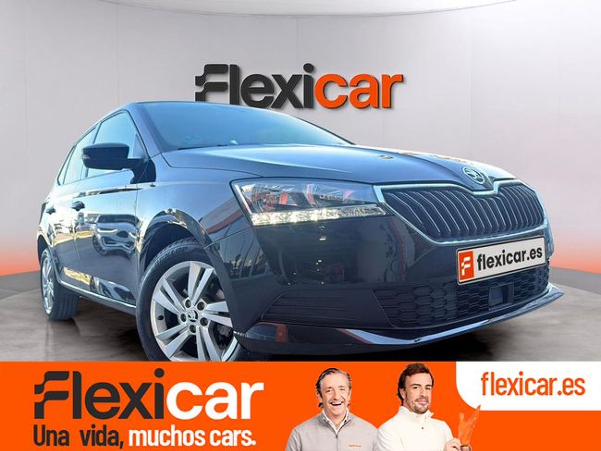 Imagen de SKODA Fabia