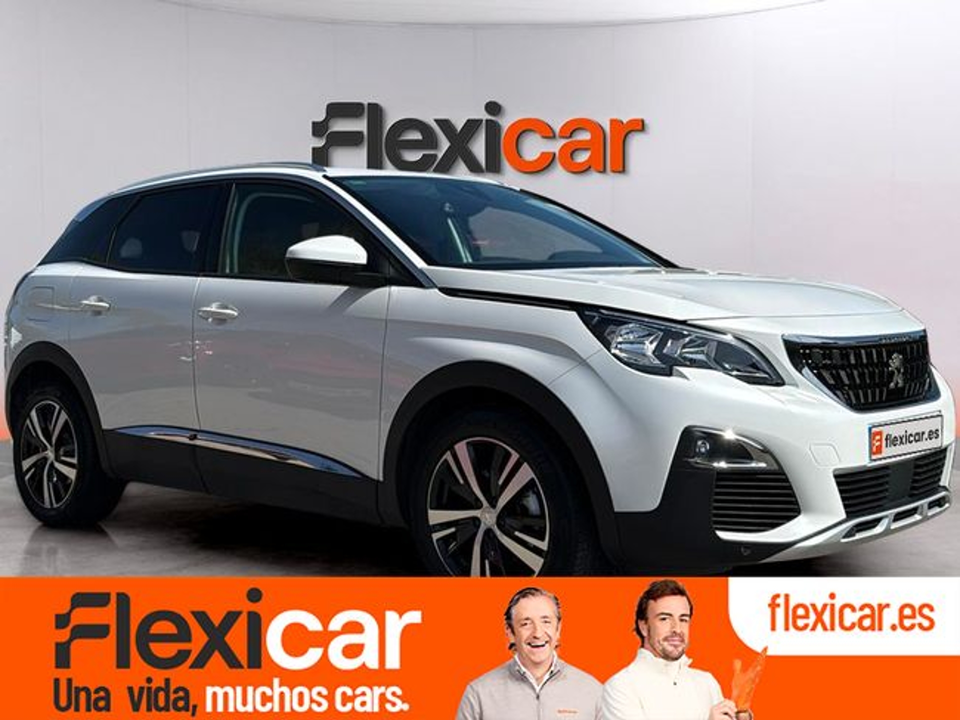 Imagen de PEUGEOT 3008