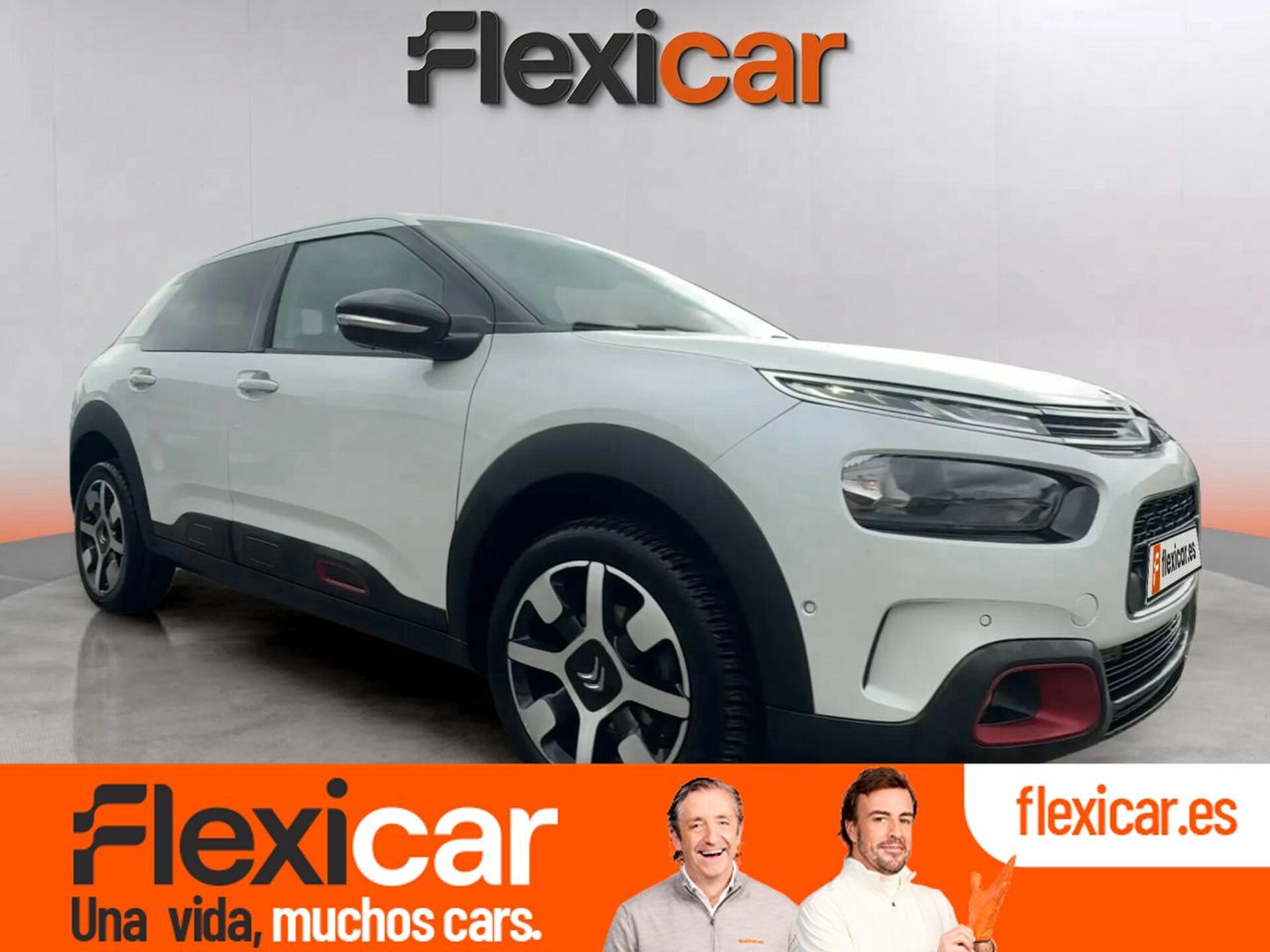 Imagen de CITROEN C4 Cactus