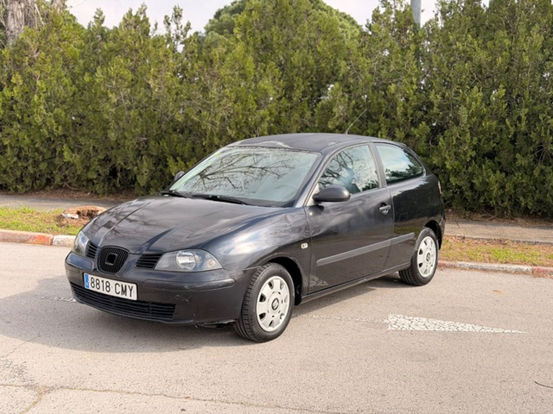 Imagen 1 de SEAT Ibiza