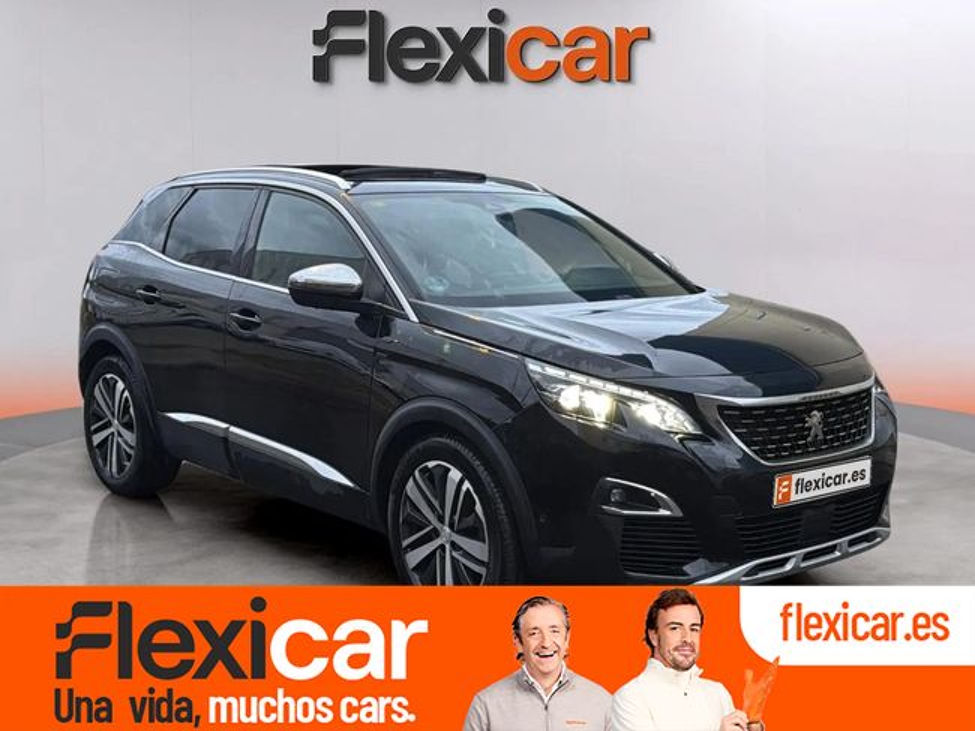 Imagen de PEUGEOT 3008