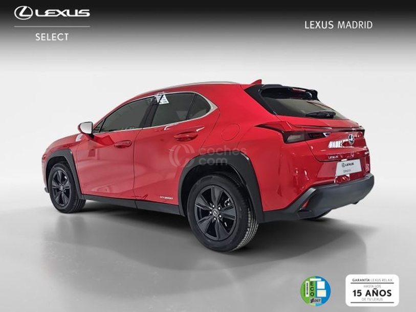 Foto del LEXUS UX 250h Business 4WD