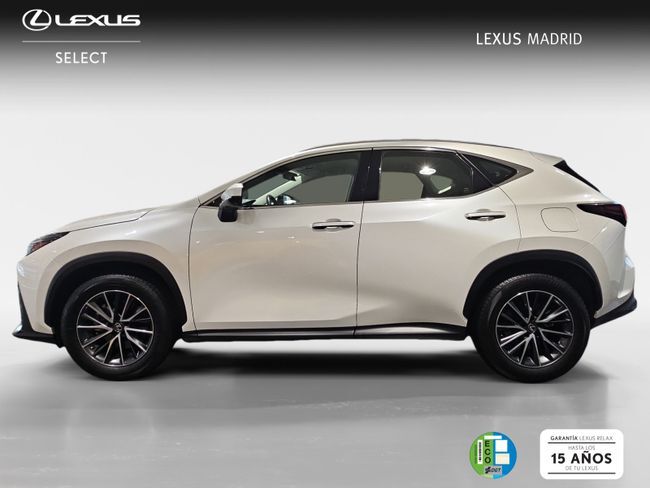 Foto del LEXUS NX 350h Business City 2WD