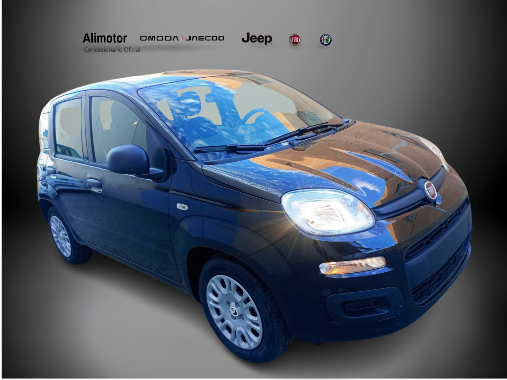 FIAT Panda (1.0 MHEV ICON 5P) en Alicante