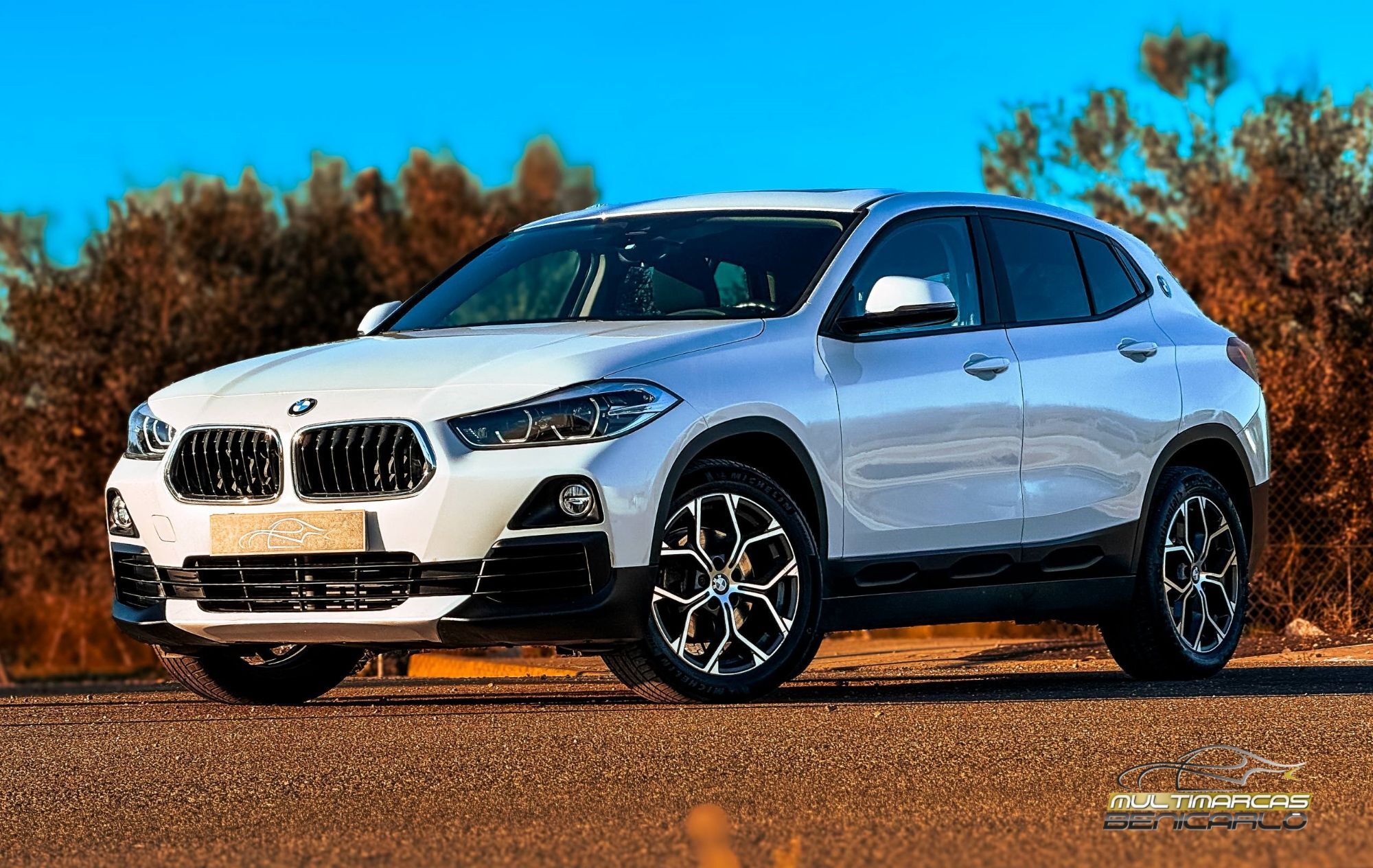 BMW X2 (sDrive 18i Advantage) en Castellón