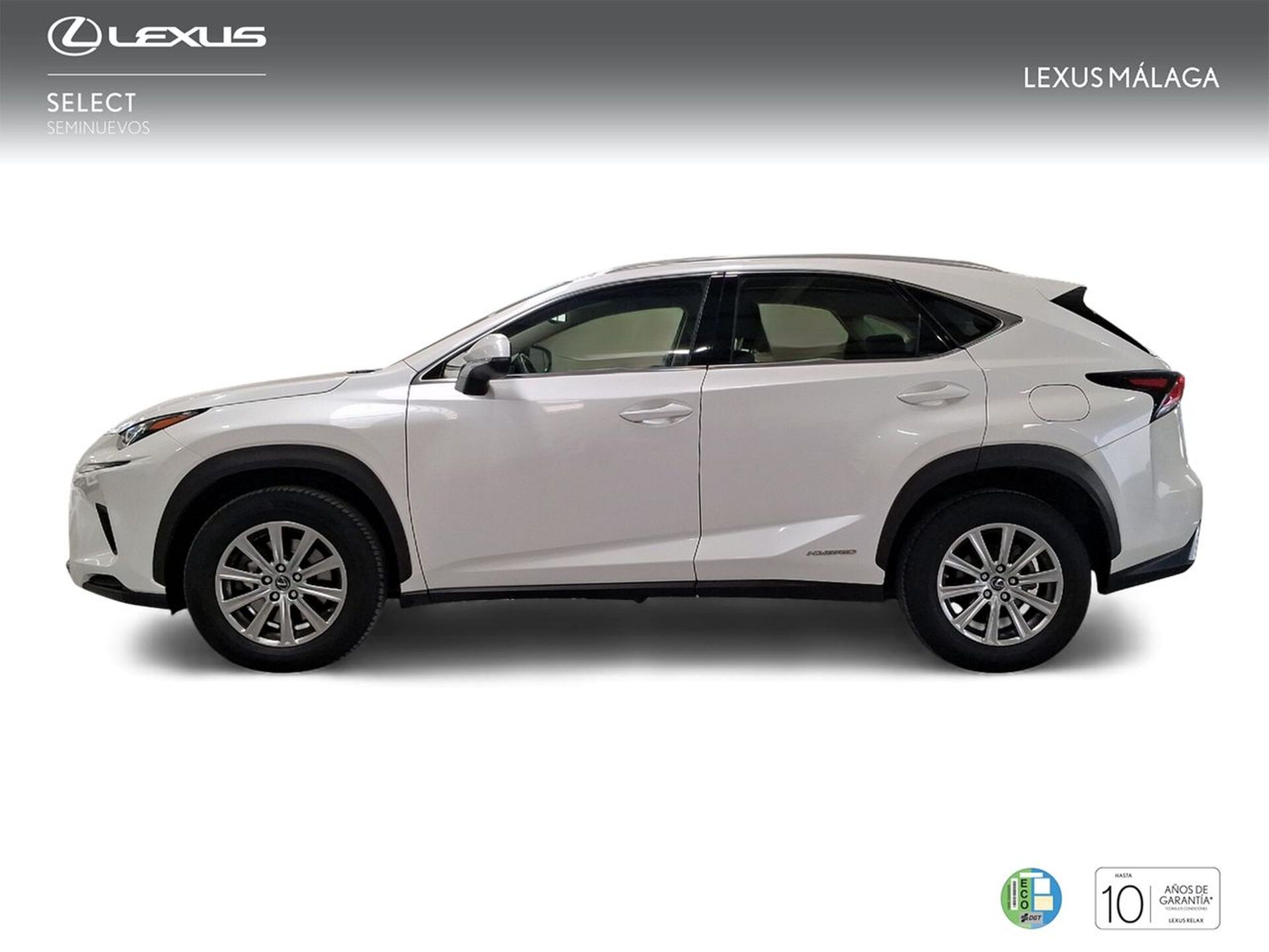 Imagen 3 de LEXUS NX
