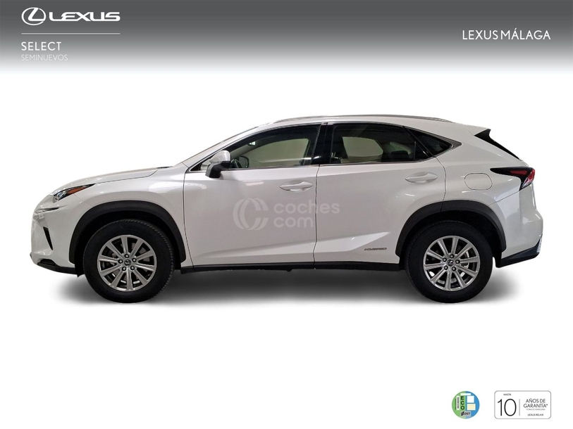 Foto del LEXUS NX 300h Business Navigation 2WD