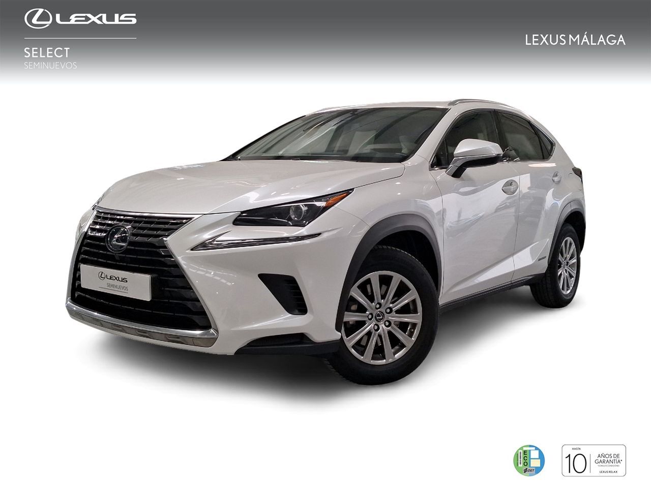 LEXUS NX (2.5 300h Business Navigation 2WD) en Málaga