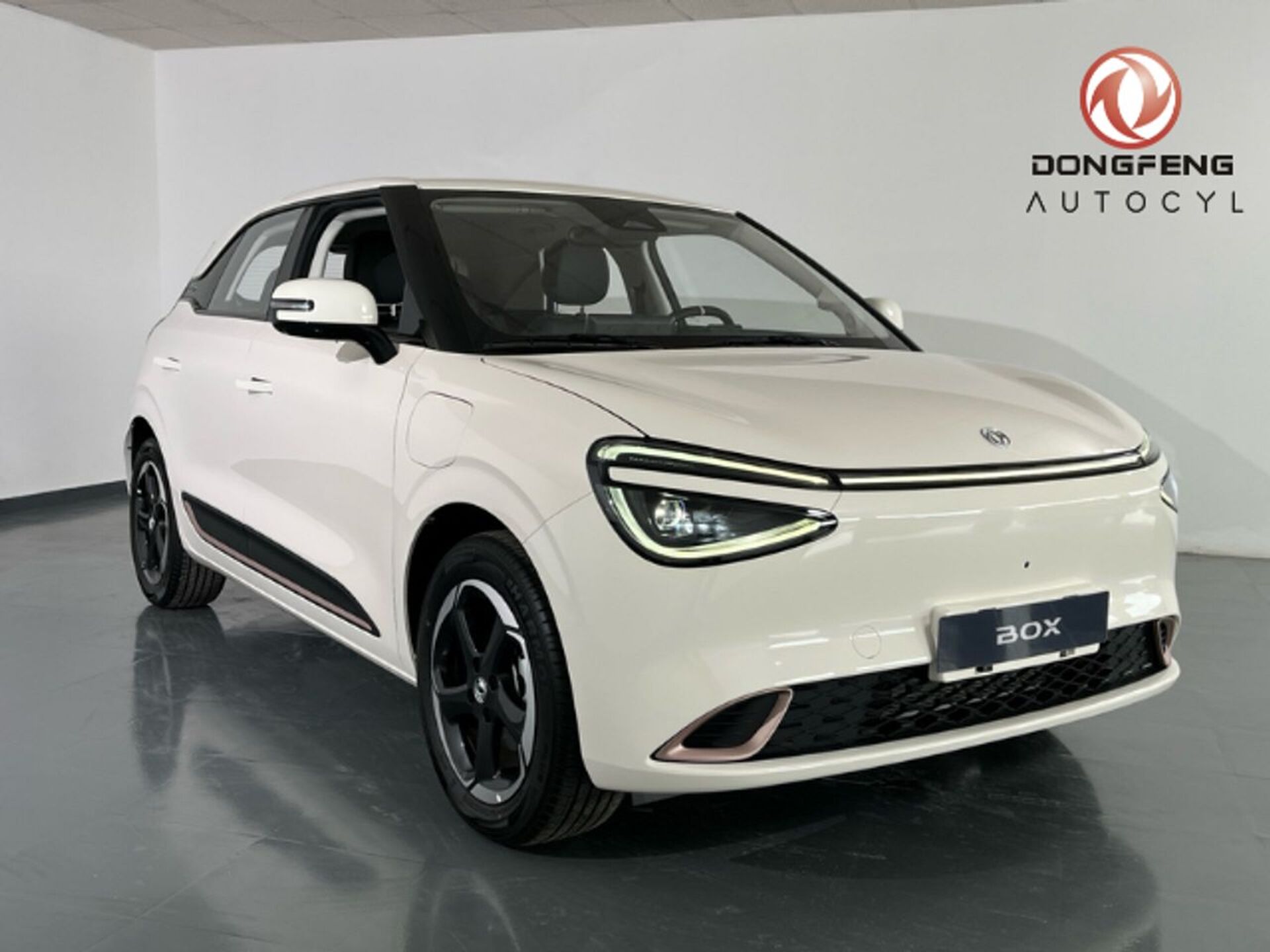 Imagen de DONGFENG Box