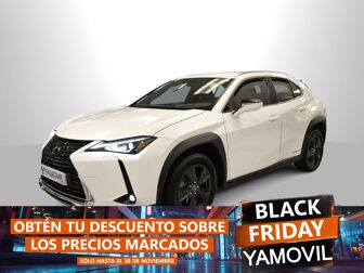 Imagen de LEXUS UX 250h Business 4WD