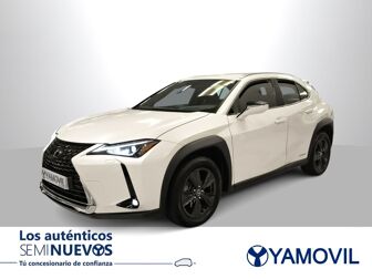 Imagen de LEXUS UX 250h Business 4WD