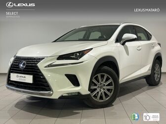 Imagen de LEXUS NX 300h Business 2WD