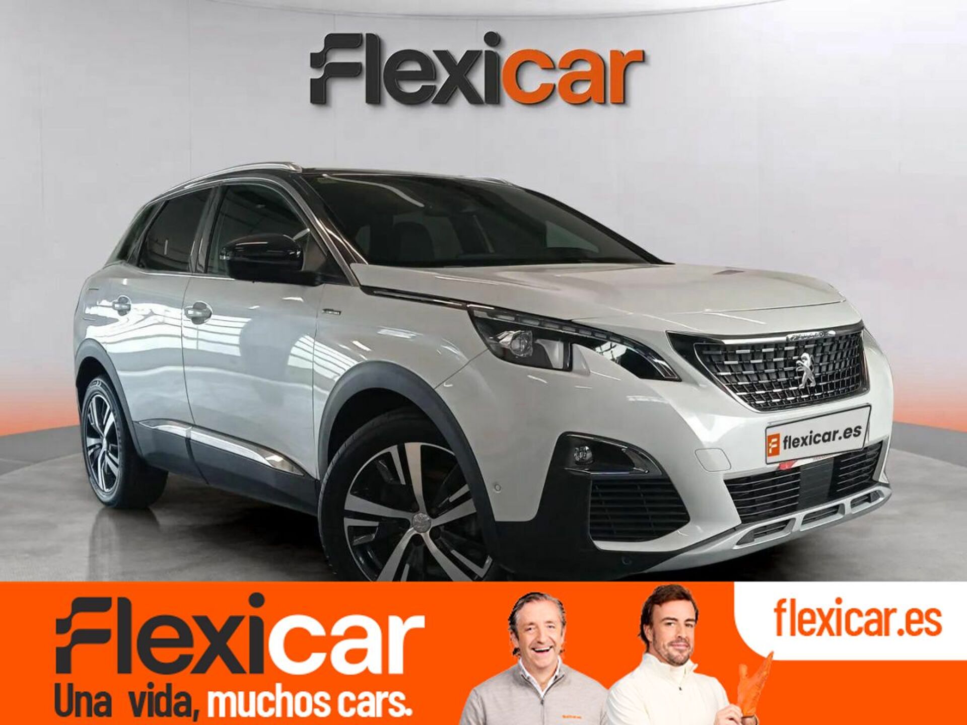 Imagen de PEUGEOT 3008