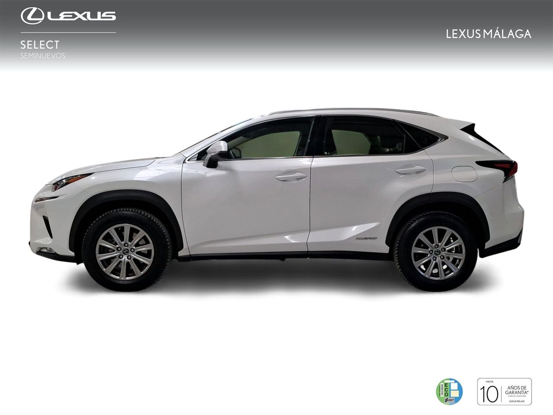 Imagen 3 de LEXUS NX