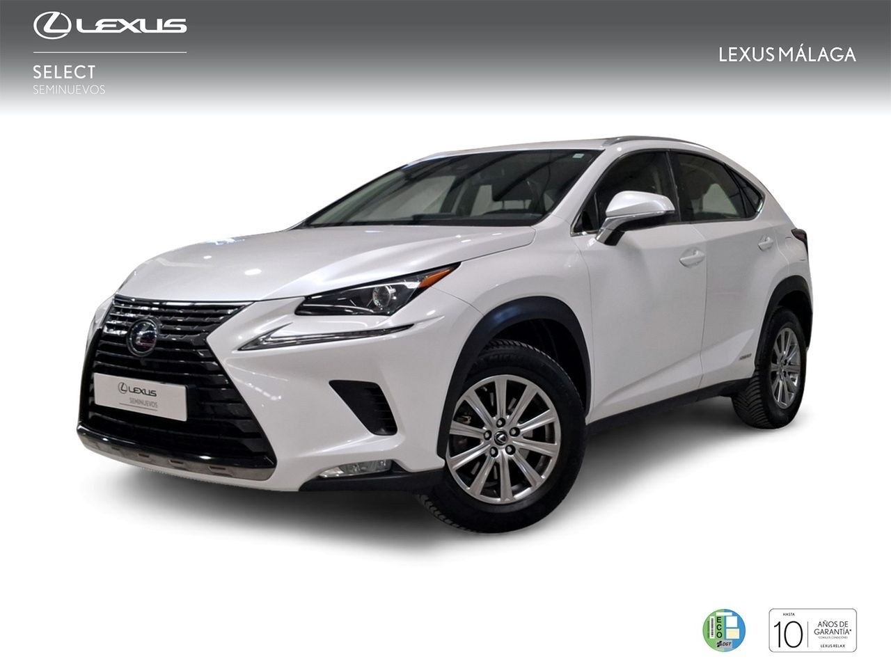 LEXUS NX (2.5 300h Business Navigation 2WD) en Málaga