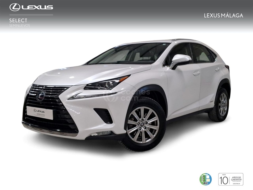Foto del LEXUS NX 300h Business Navigation 2WD