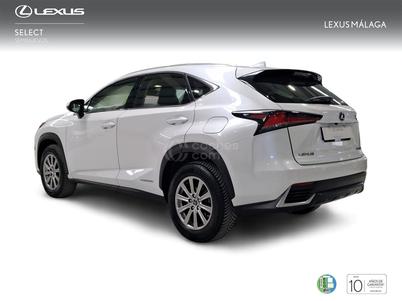Foto del LEXUS NX 300h Business Navigation 2WD