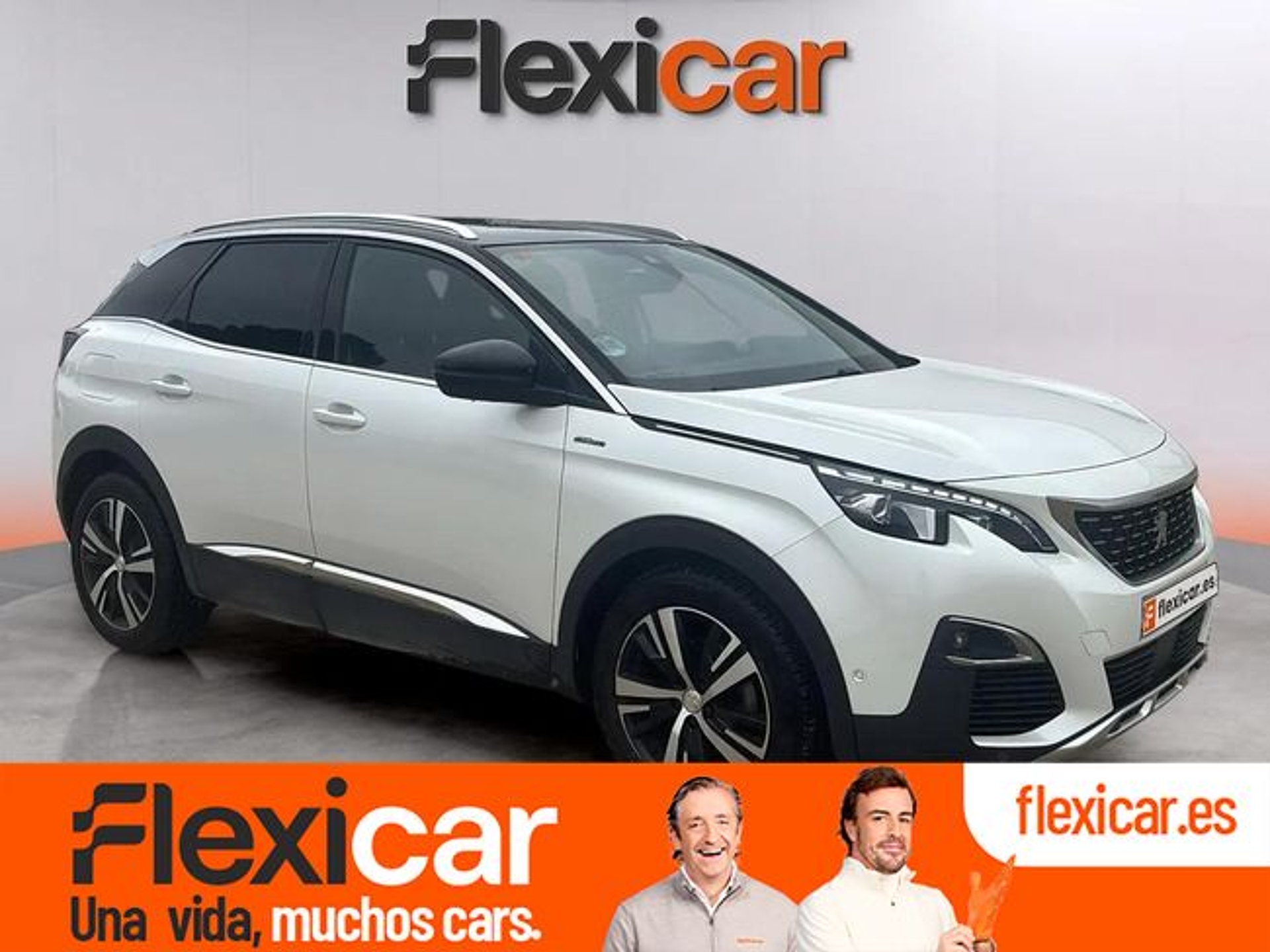 Imagen de PEUGEOT 3008