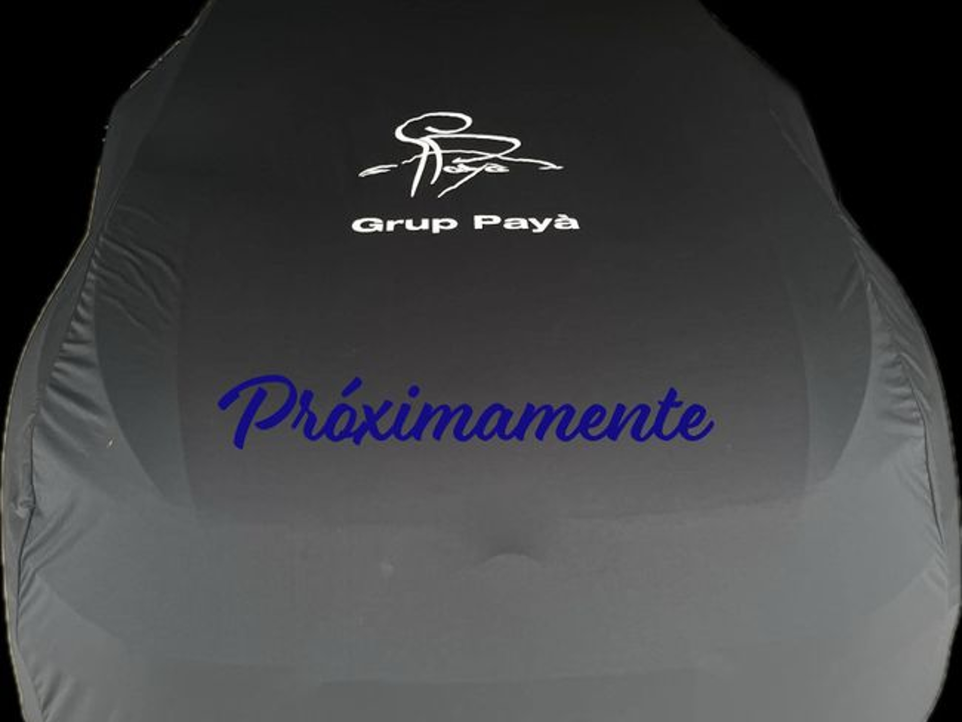 Imagen de SKODA Fabia