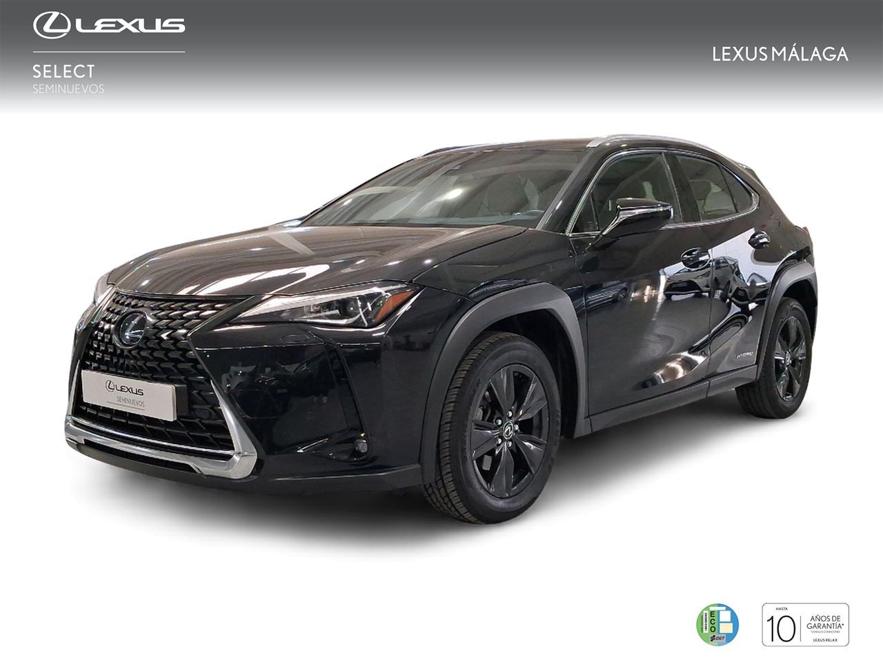 LEXUS UX (2.0 250h Business) en Málaga