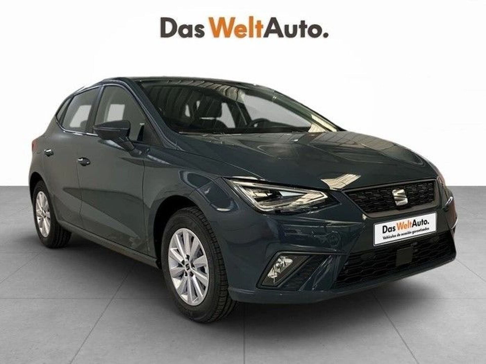 Imagen 1 de SEAT Ibiza
