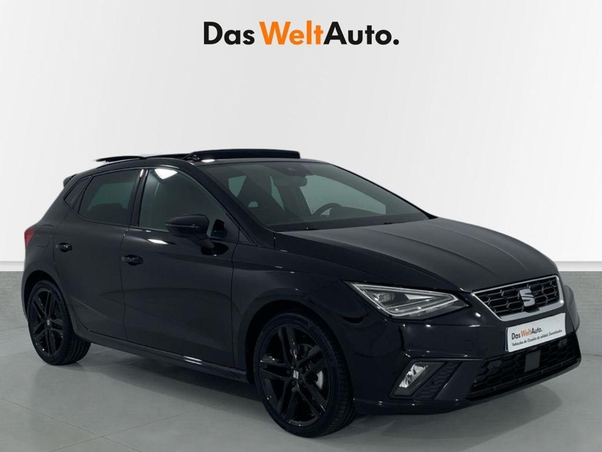 Imagen de SEAT Ibiza