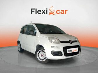 Imagen de FIAT Panda 1.2 Lounge