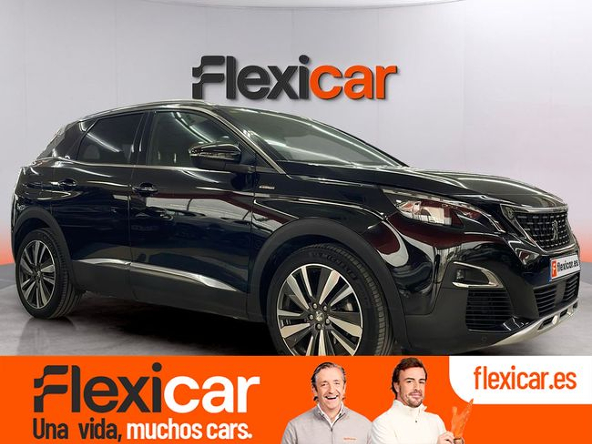 Imagen de PEUGEOT 3008