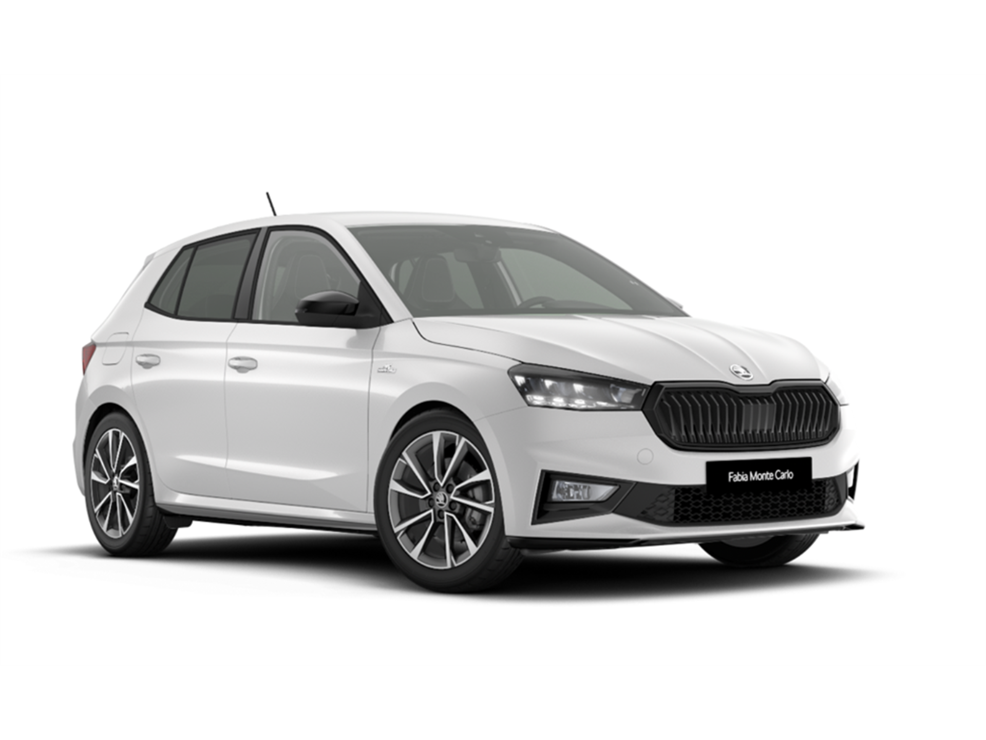 Imagen 1 de SKODA Fabia