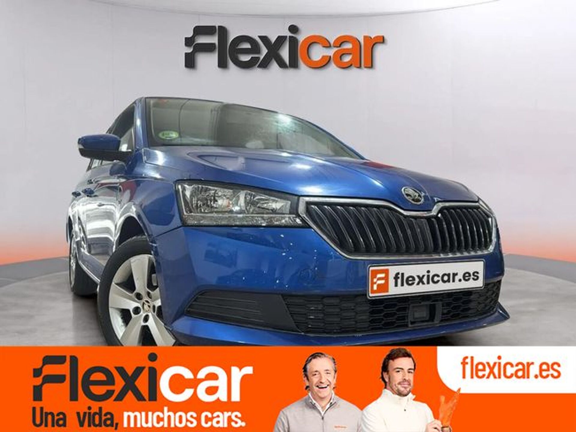 Imagen 1 de SKODA Fabia