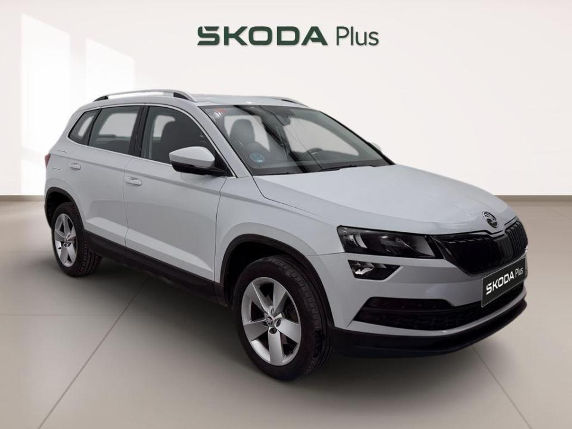 Imagen de SKODA Karoq