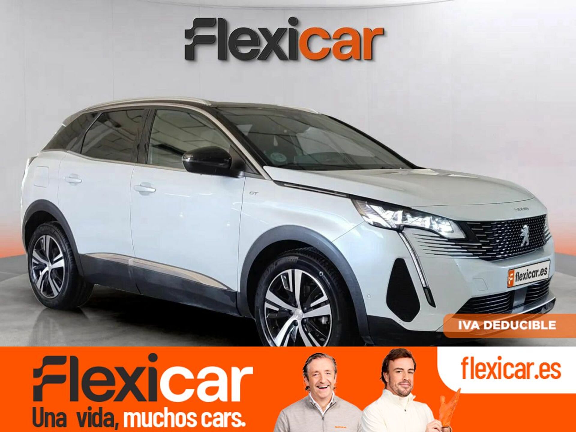 Imagen de PEUGEOT 3008