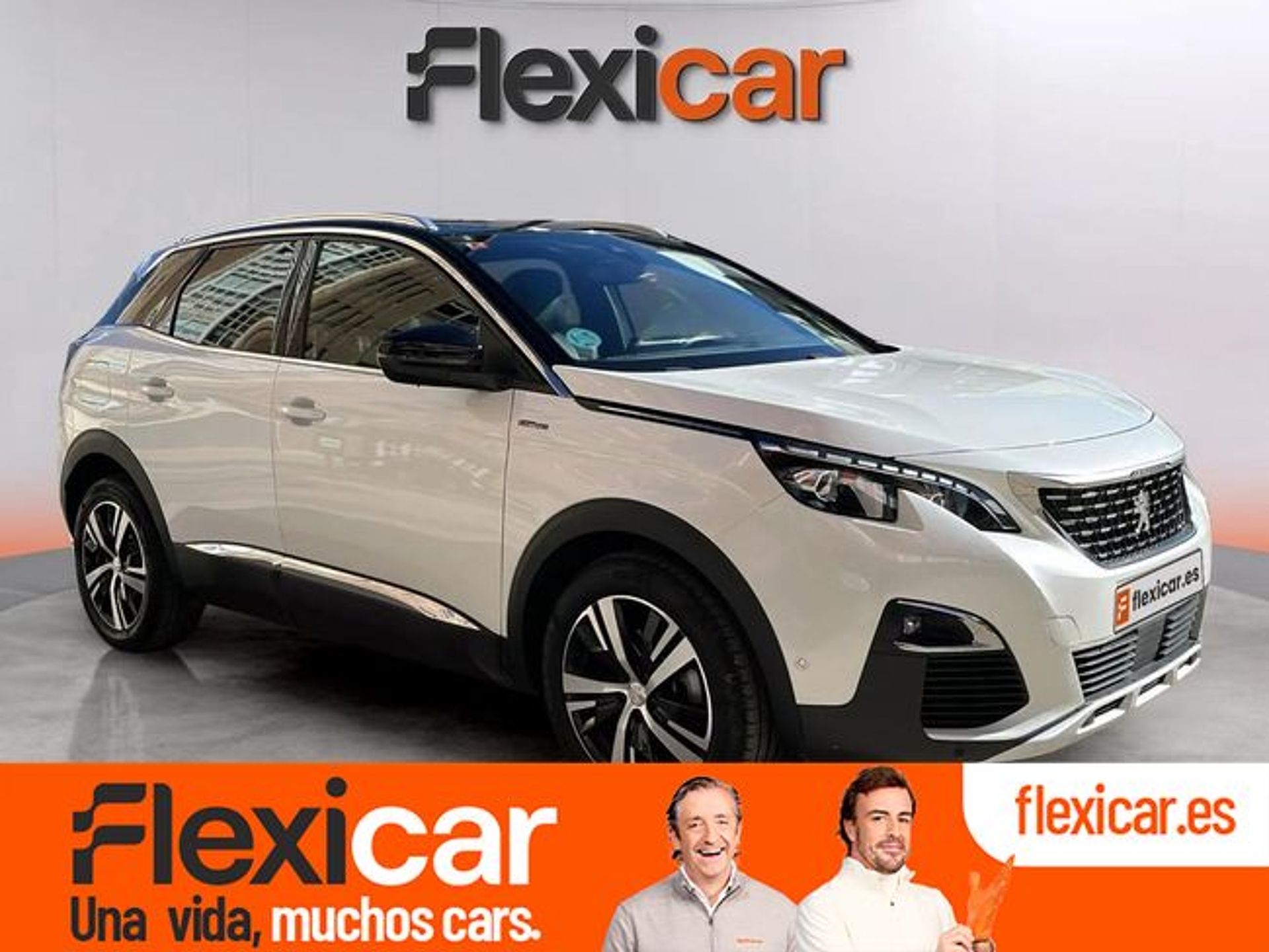 Imagen de PEUGEOT 3008