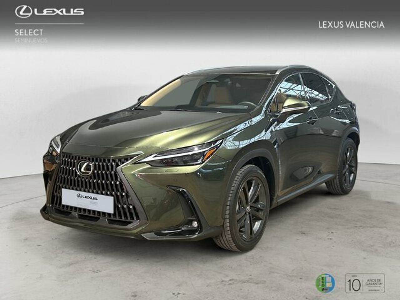 LEXUS NX (EXECUTIVE+) en Valencia