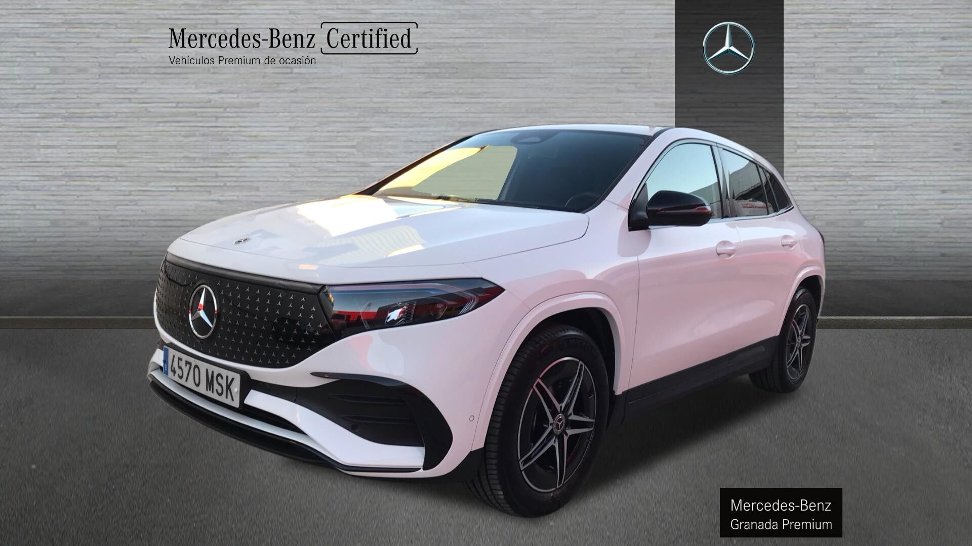 MERCEDES EQA (-CLASS EQA 250+) en Granada