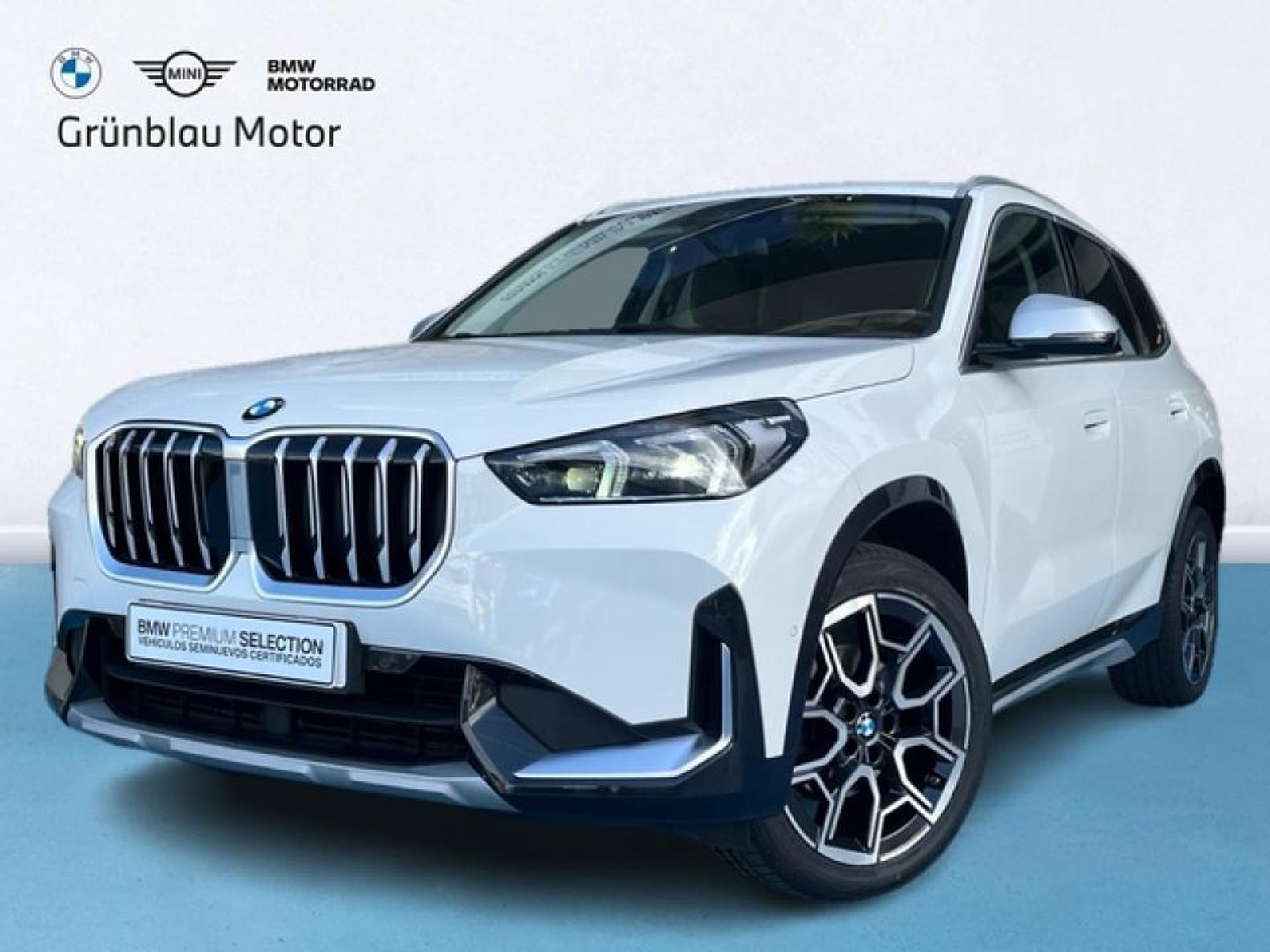 Imagen de BMW X1