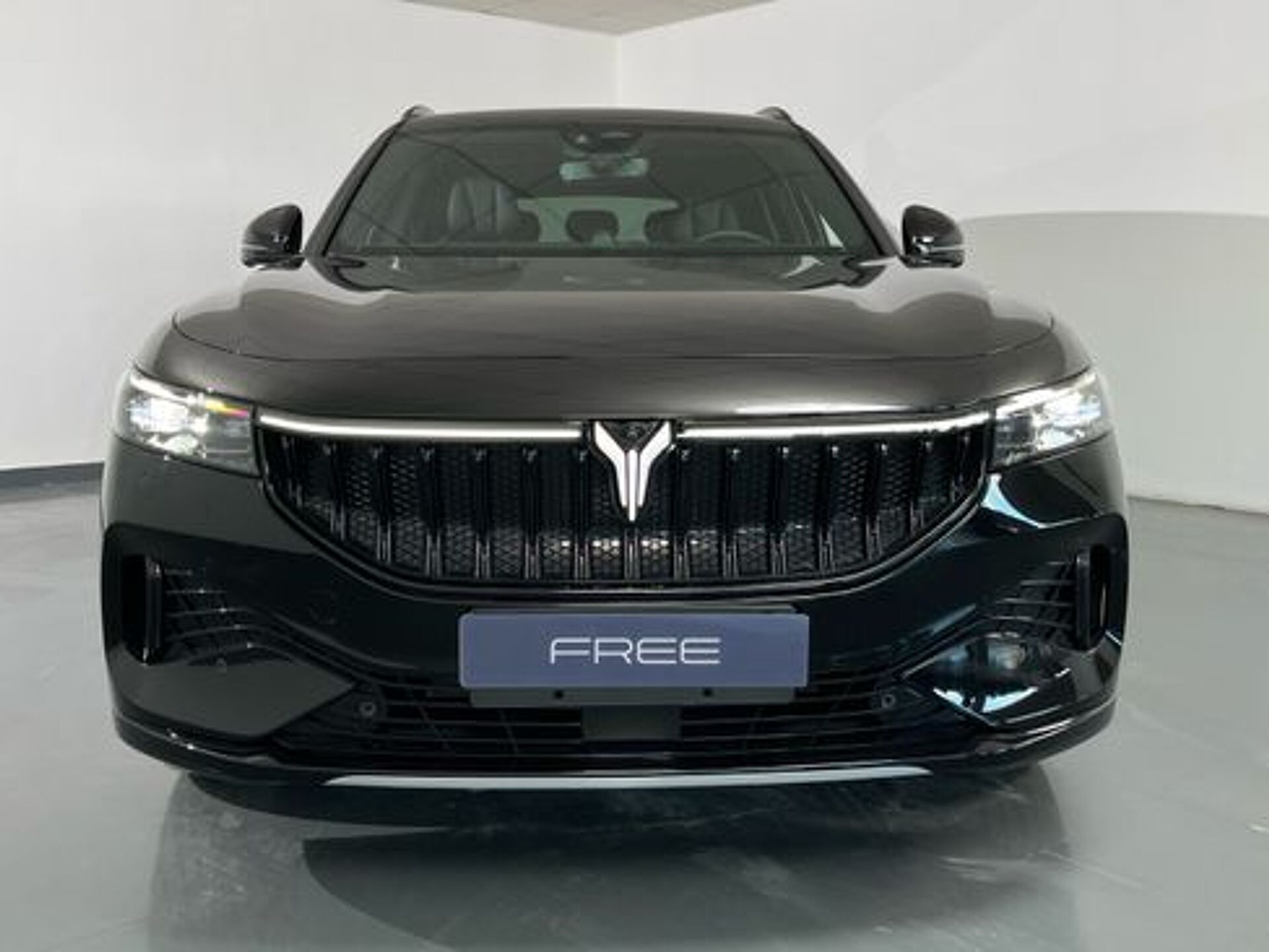 Imagen 2 de VOYAH Free