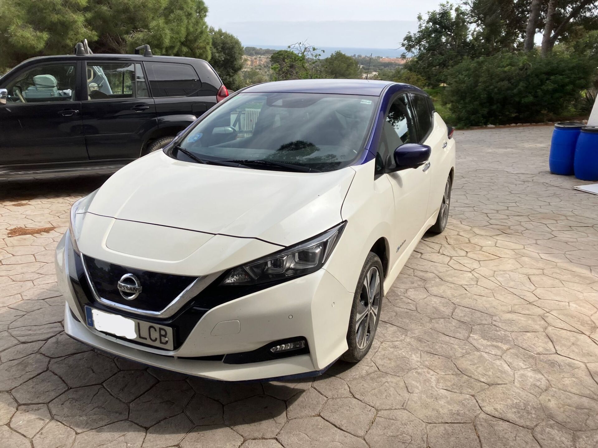 Imagen 2 de NISSAN Leaf