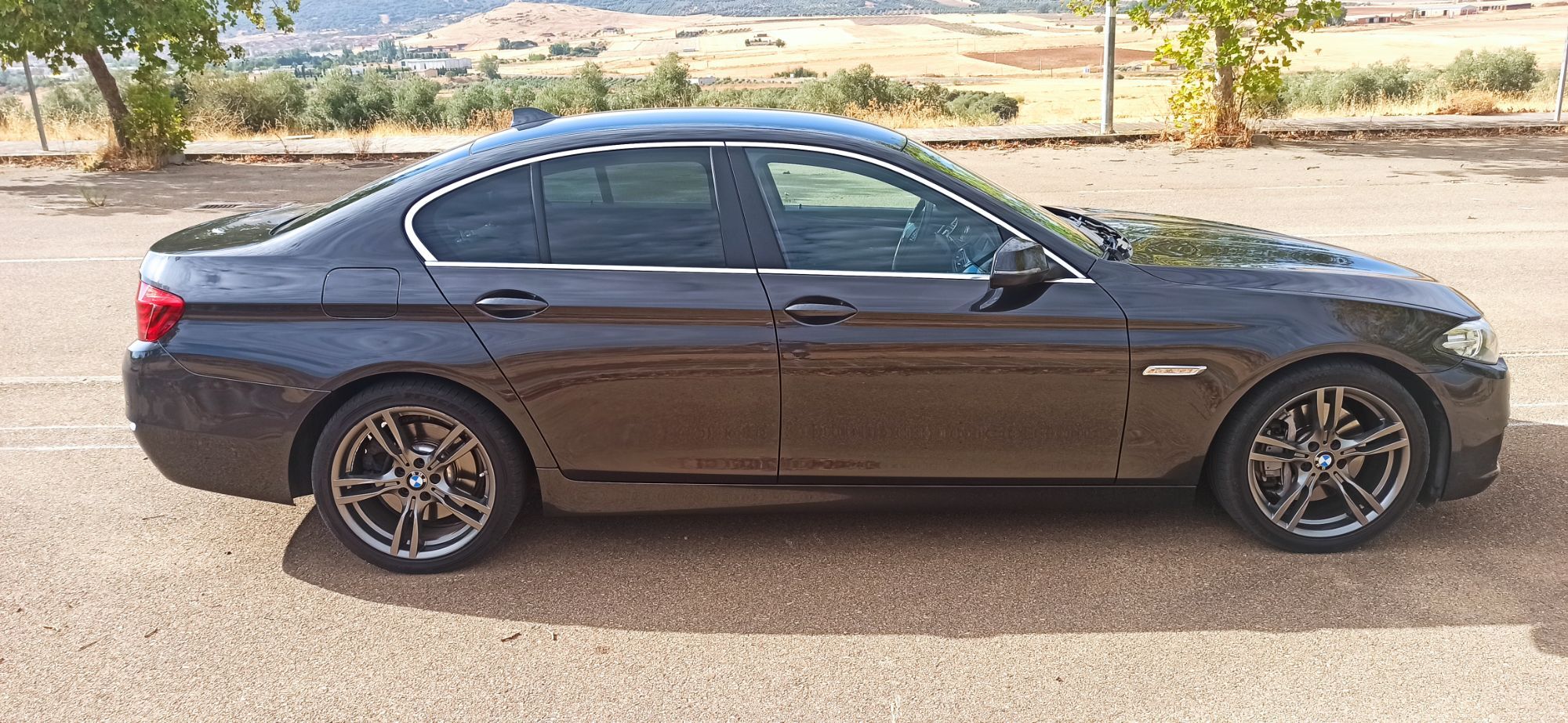 Foto del BMW Serie 5 530dA