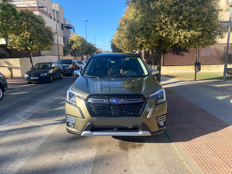 Foto del SUBARU Forester 2.0i Hybrid Executive Plus CVT