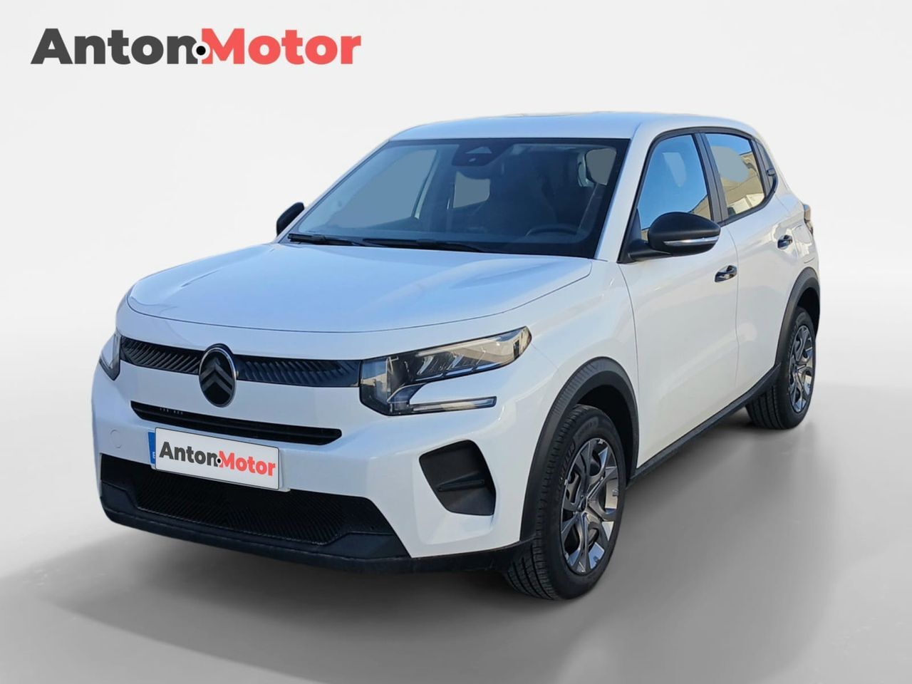 CITROEN C3 (Turbo 100 You) en Álava