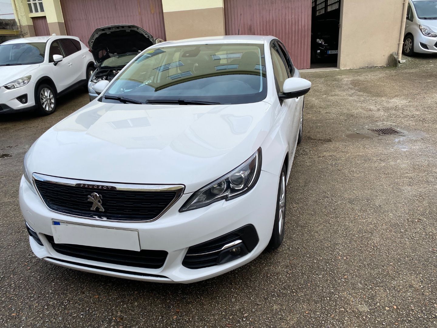 PEUGEOT 308 (1.5BlueHDi S&S Business Line 130) en Lugo