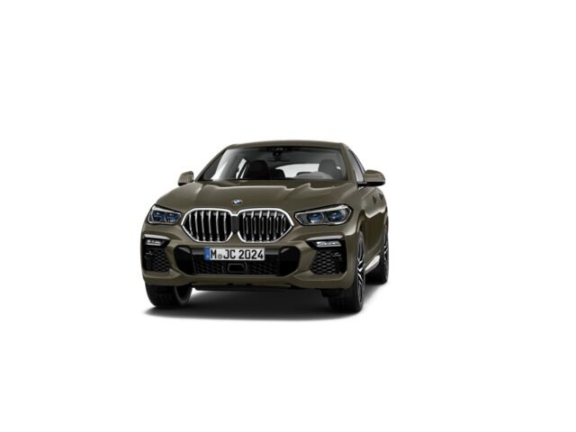 Foto del BMW X6 xDrive 30dA