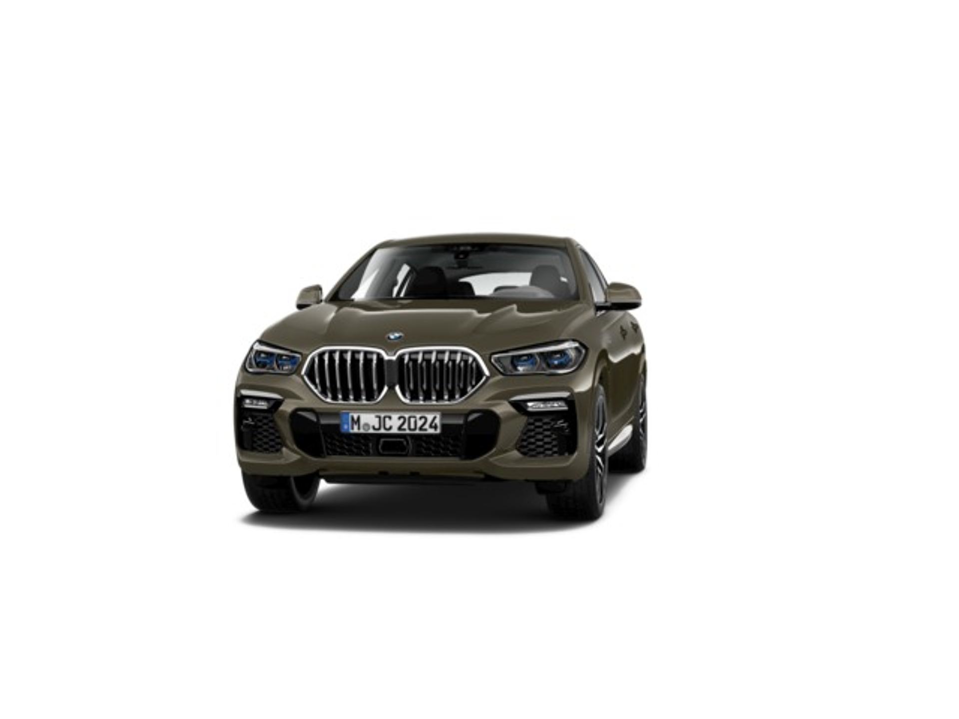 Imagen de BMW X6