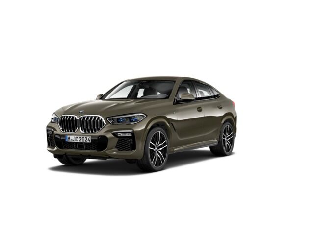 Foto del BMW X6 xDrive 30dA