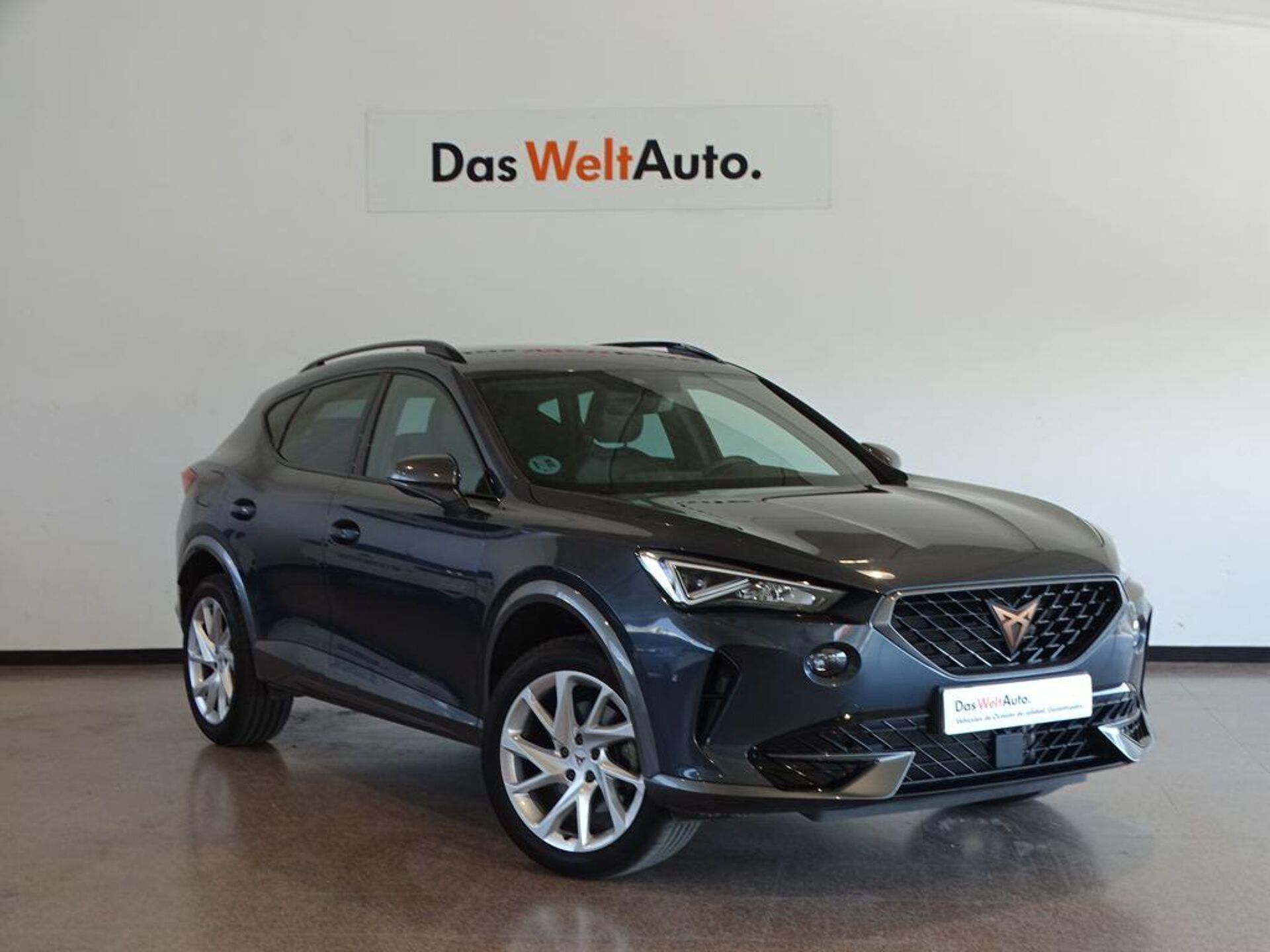 Imagen de CUPRA Formentor