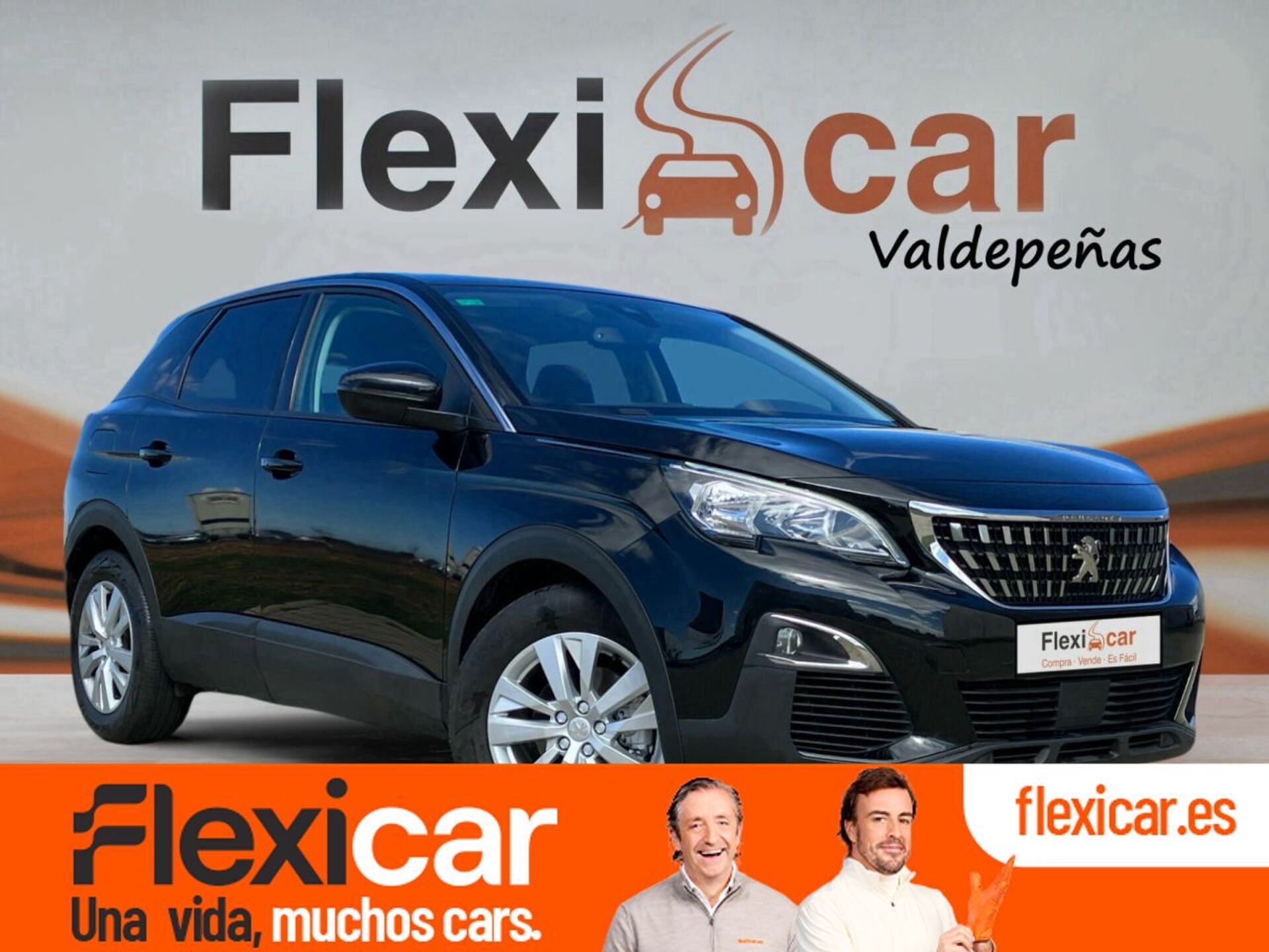 Imagen de PEUGEOT 3008