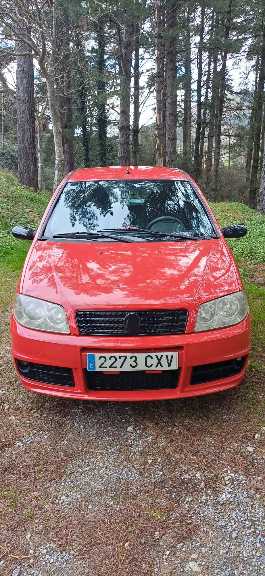 Foto del FIAT Punto 1.3Mjt Sound