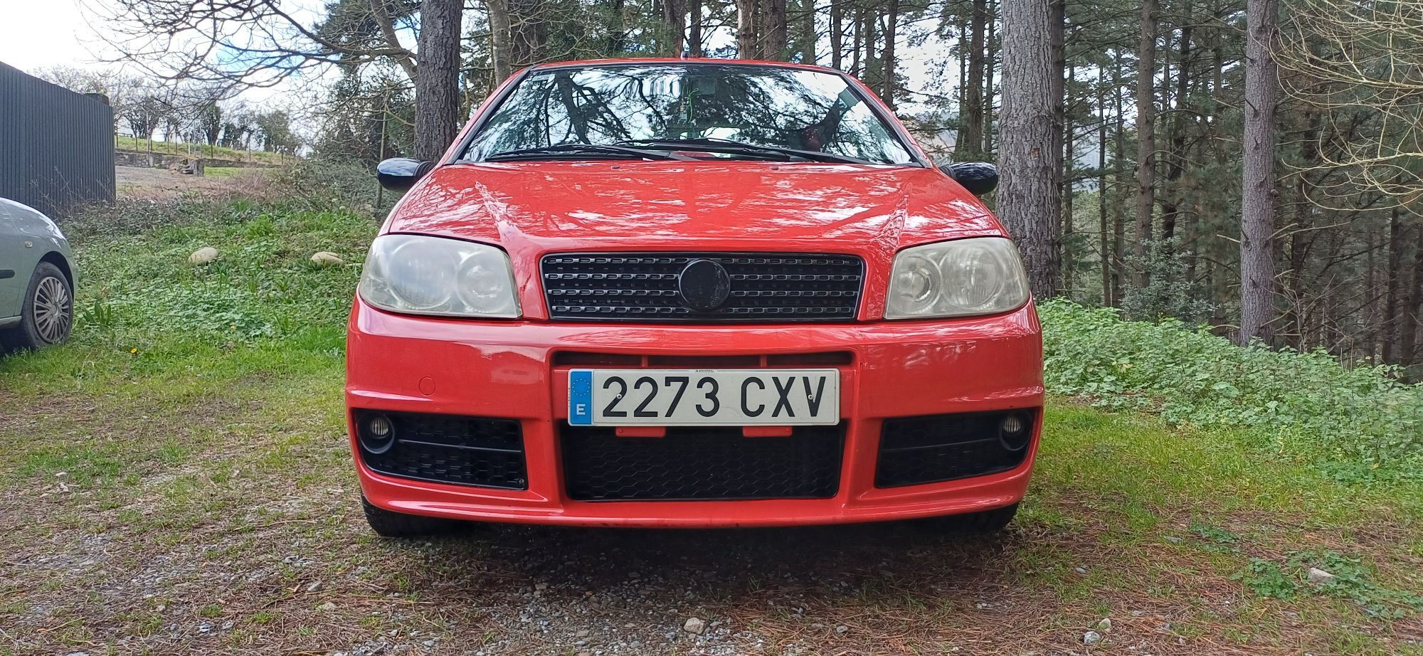 Foto del FIAT Punto 1.3Mjt Sound