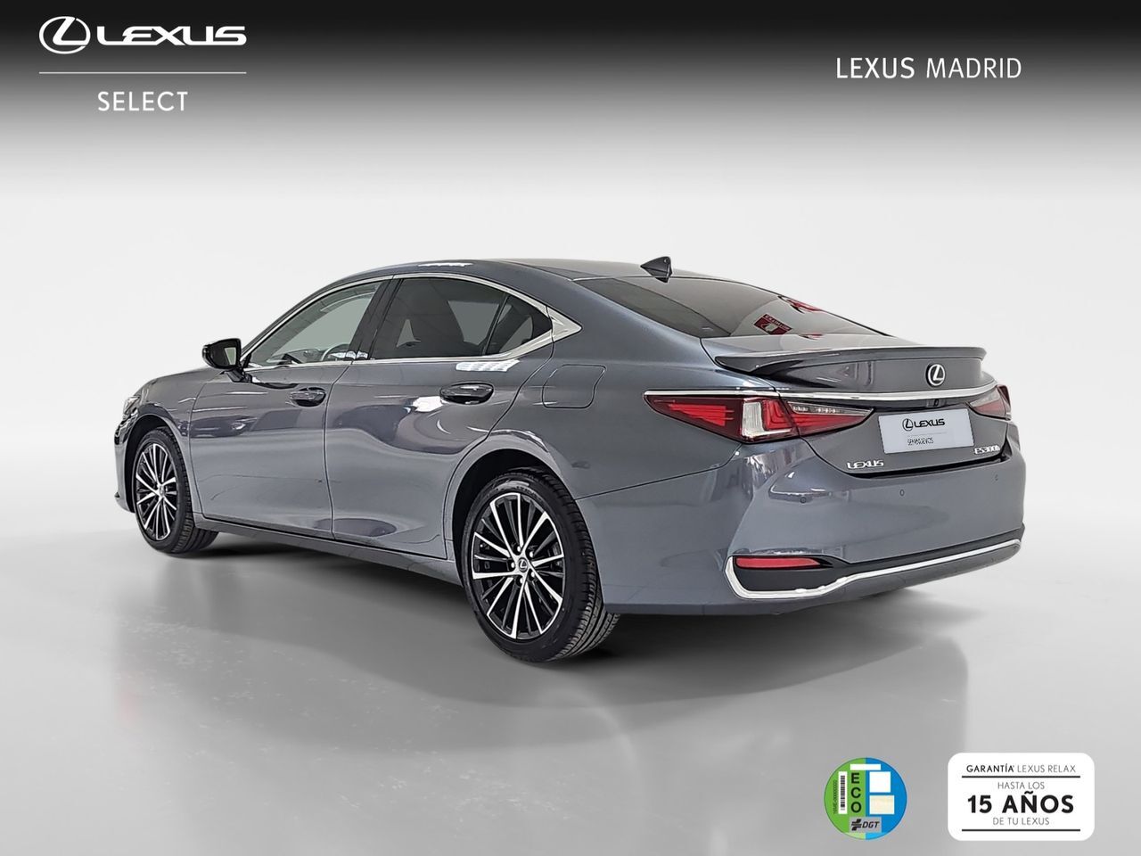 Foto del LEXUS ES 300h Premium
